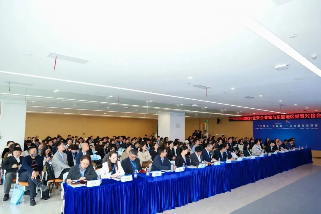 2025 东盟经贸对接会